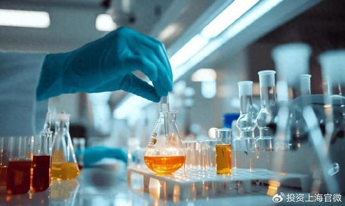 貝科在松江啟用全新研發(fā)中心，提升技術(shù)服務(wù)能力